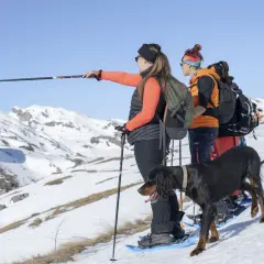 Grupo de personas y un perro explorando rutas raquetas de nieve en Cataluña, disfrutando de un paisaje montañoso nevado.