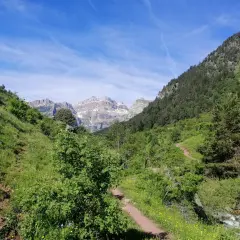 Sendero serpenteante en el **canal roya**, rodeado de verde exuberante y picos nevados al fondo.