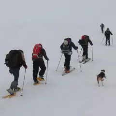 Grupo explorando rutas raquetas de nieve, acompañados por un perro.