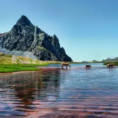 Caballos bebiendo en un ibón, con un pico rocoso imponente al fondo. Un paisaje idílico en la ruta de los ibones.