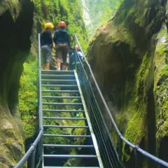 Explorando los impresionantes gorges de la Fou, un grupo de excursionistas asciende por una escalera metálica rodeada de paredes rocosas cubiertas de musgo.