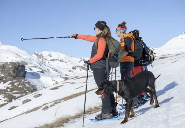 Grupo de personas y un perro explorando rutas raquetas de nieve en Cataluña, disfrutando de un paisaje montañoso nevado.