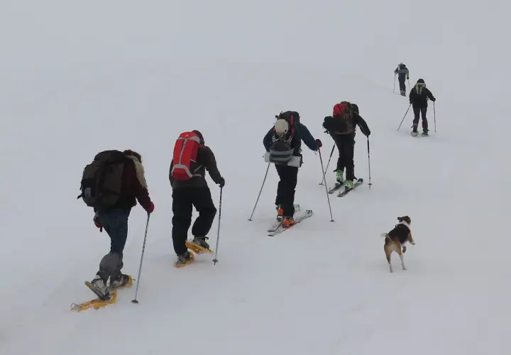 Grupo explorando rutas raquetas de nieve, acompañados por un perro.
