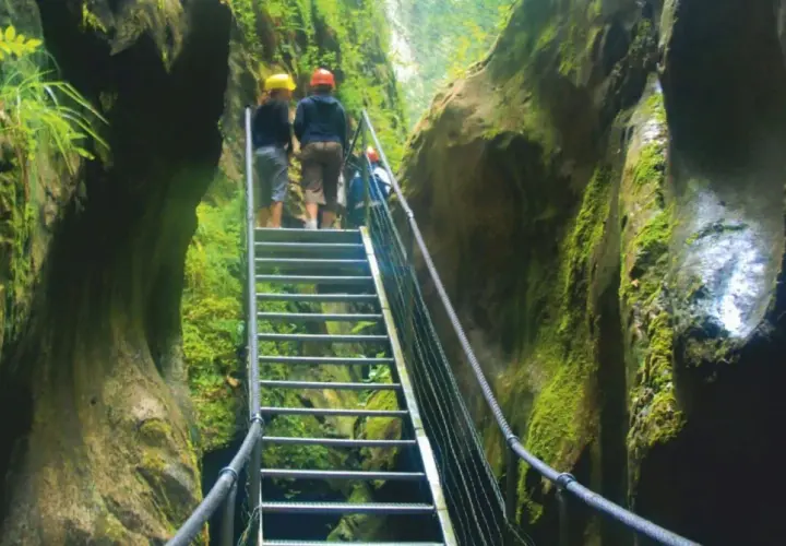 Explorando los impresionantes gorges de la Fou, un grupo de excursionistas asciende por una escalera metálica rodeada de paredes rocosas cubiertas de musgo.