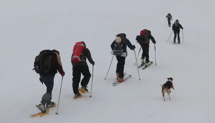 Grupo explorando rutas raquetas de nieve, acompañados por un perro.