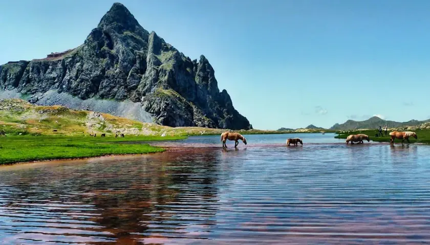 Caballos bebiendo en un ibón, con un pico rocoso imponente al fondo. Un paisaje idílico en la ruta de los ibones.