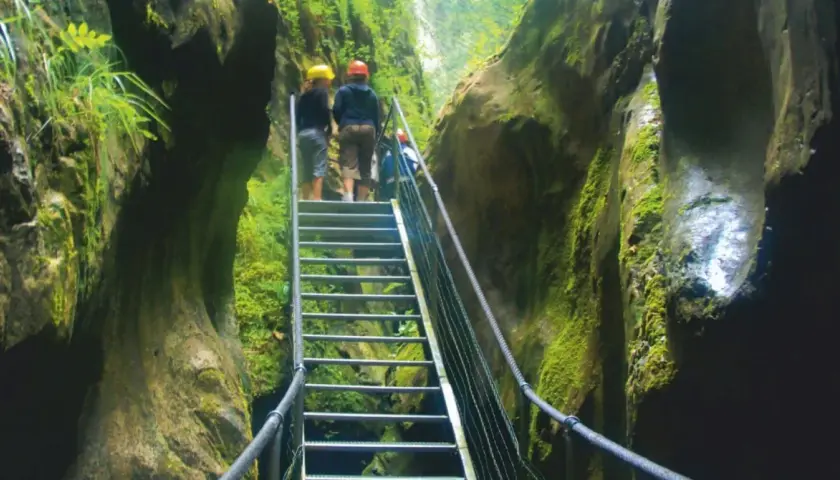 Explorando los impresionantes gorges de la Fou, un grupo de excursionistas asciende por una escalera metálica rodeada de paredes rocosas cubiertas de musgo.