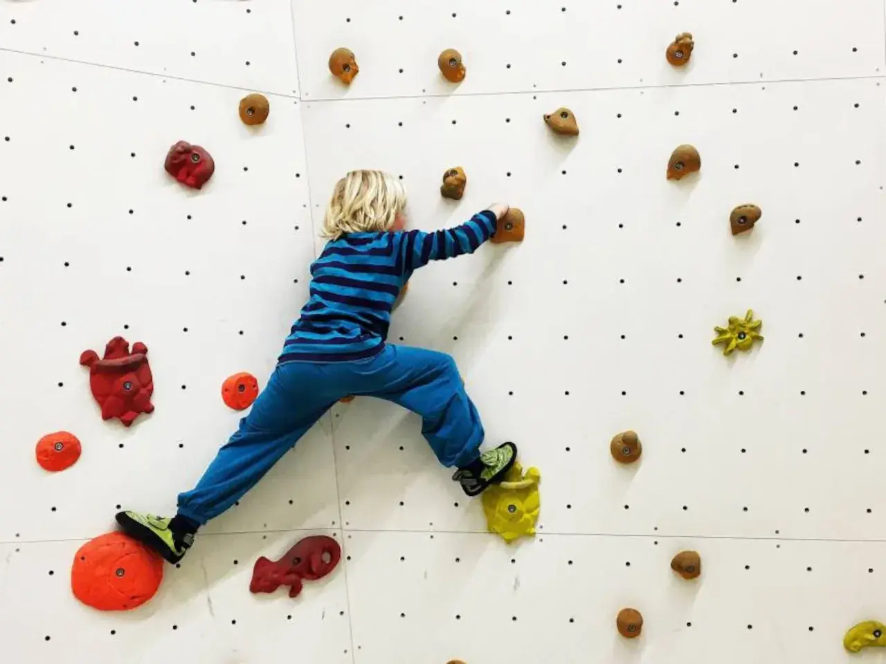 Niño rubio con camiseta a rayas azules y pantalón azul practica escalada para niños en un rocódromo blanco con presas de colores.