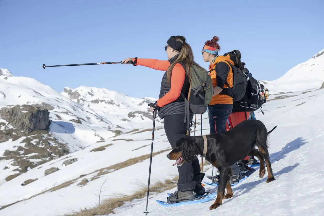 Grupo de personas y un perro explorando rutas raquetas de nieve en Cataluña, disfrutando de un paisaje montañoso nevado.