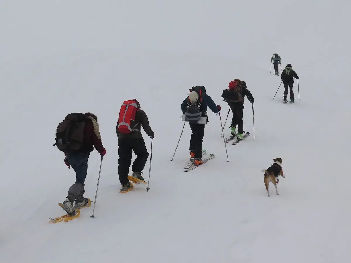 Grupo explorando rutas raquetas de nieve, acompañados por un perro.