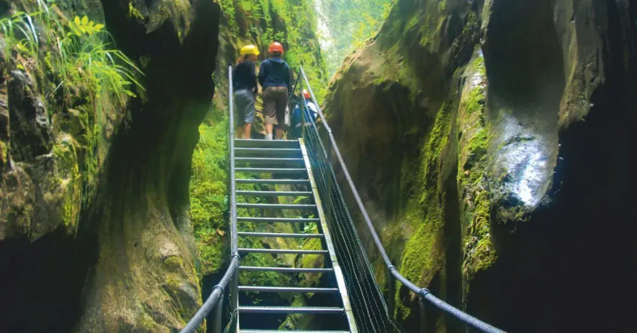 Explorando los impresionantes gorges de la Fou, un grupo de excursionistas asciende por una escalera metálica rodeada de paredes rocosas cubiertas de musgo.