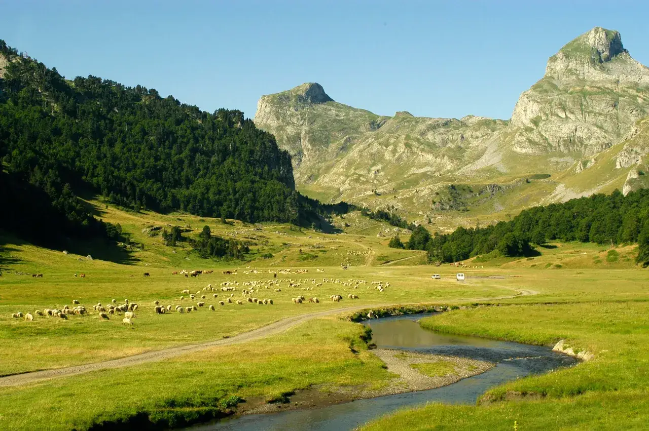 Un reba&ntilde;o de ovejas pasta en un prado verde junto a un r&iacute;o, con monta&ntilde;as boscosas y rocosas de fondo. El ibon de Ayous es un para&iacute;so natural.
