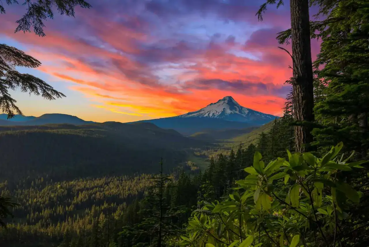 Atardecer vibrante sobre el pacific trail, con un volcán nevado y un bosque frondoso.