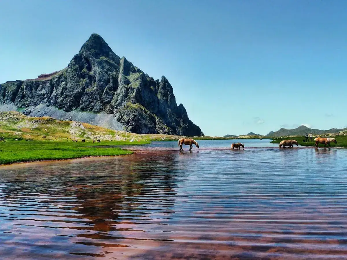 Caballos bebiendo en un lago sereno, con una imponente montaña al fondo. Un paisaje idílico en la ruta de los ibones.